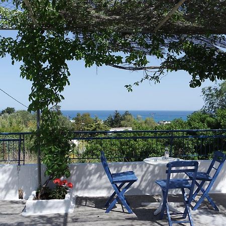 Stegna Breeze Villa Archangelos  Exteriör bild